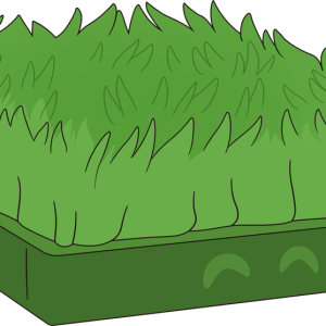 Touch Grass Plush (9in)