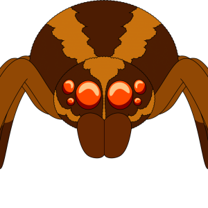 Wolf Spider Plush (9in)