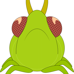 Aphid Plush (9in)